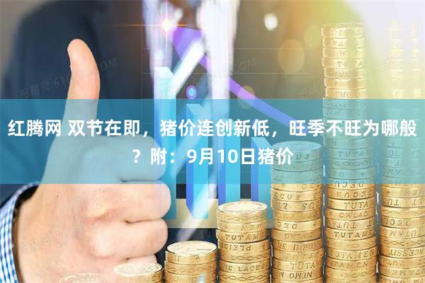 红腾网 双节在即，猪价连创新低，旺季不旺为哪般？附：9月10日猪价