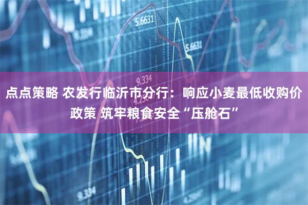 点点策略 农发行临沂市分行：响应小麦最低收购价政策 筑牢粮食安全“压舱石”