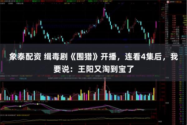 象泰配资 缉毒剧《围猎》开播，连看4集后，我要说：王阳又淘到宝了