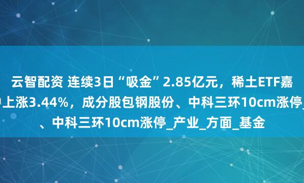 云智配资 连续3日“吸金”2.85亿元,稀土ETF嘉实(516150)盘中上涨3.44%,成分股包钢股份、中科三环10cm涨停_产业_方面_基金